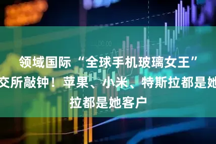 领域国际 “全球手机玻璃女王”，港交所敲钟！苹果、小米、特斯拉都是她客户