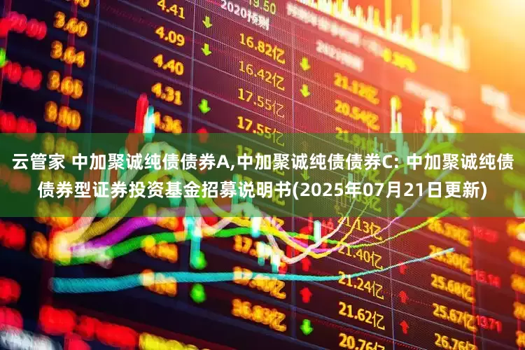 云管家 中加聚诚纯债债券A,中加聚诚纯债债券C: 中加聚诚纯债债券型证券投资基金招募说明书(2025年07月21日更新)