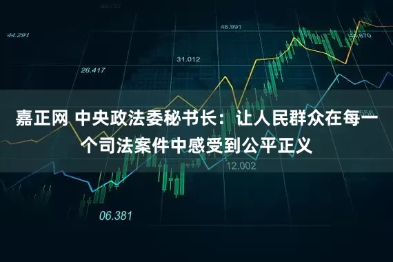 嘉正网 中央政法委秘书长:让人民群众在每一个司法案件中感受到公平正义